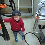 Hacklbauer *