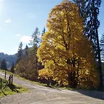 Hacklbauer * Altenmarkt im Pongau