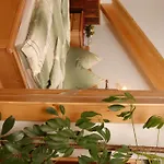 Hacklbauer Apartment