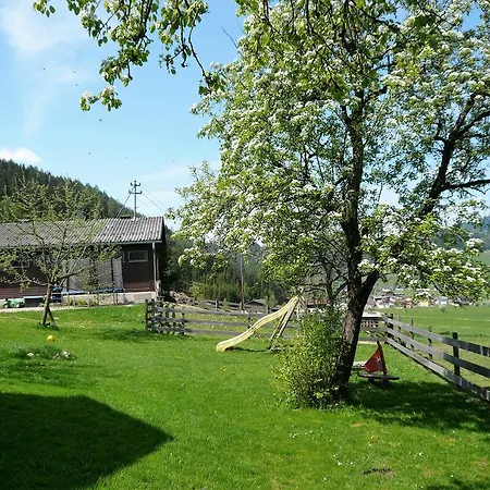 Hacklbauer Lejlighed