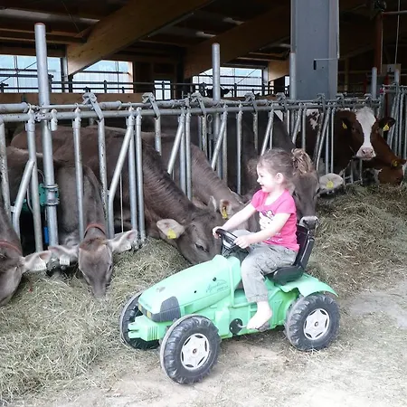 Hacklbauer Lejlighed *