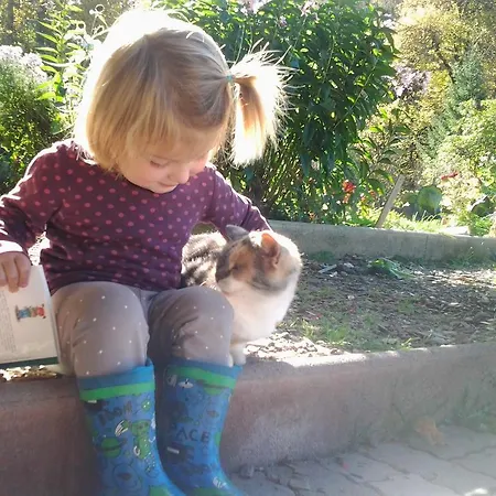 Lejlighed Hacklbauer *