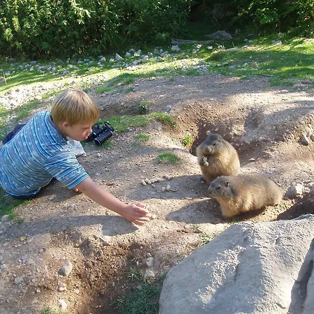 Lejlighed Hacklbauer