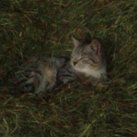 Hacklbauer Daire Altenmarkt im Pongau