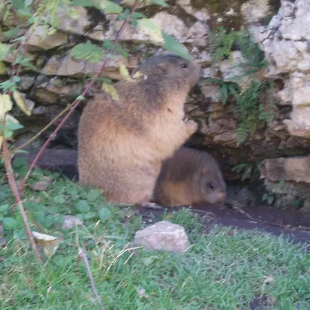 Hacklbauer Altenmarkt im Pongau