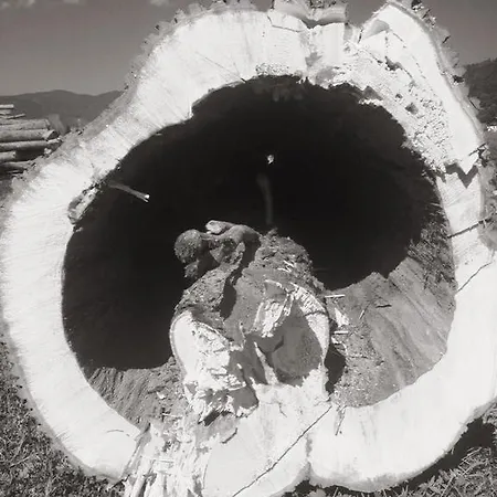 Lejlighed Hacklbauer Altenmarkt im Pongau