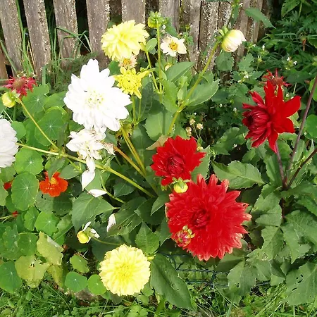 Hacklbauer * Altenmarkt im Pongau