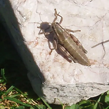 Hacklbauer Lejlighed Altenmarkt im Pongau