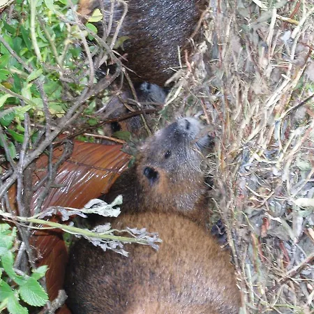 Lejlighed Hacklbauer *