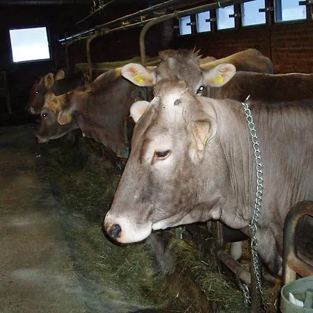 Hacklbauer Lejlighed *