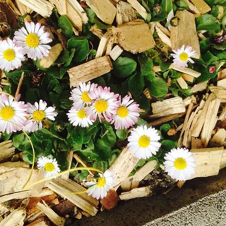 Hacklbauer * Altenmarkt im Pongau