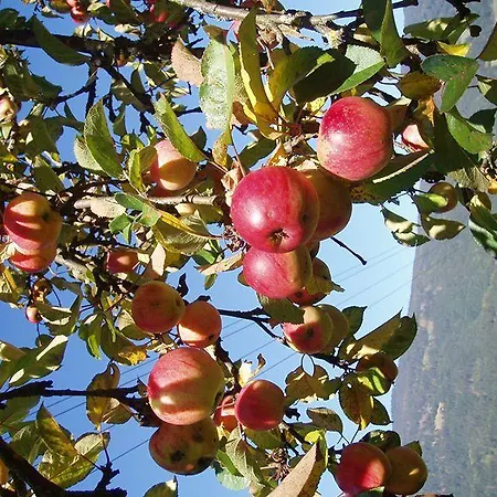Hacklbauer Daire Altenmarkt im Pongau