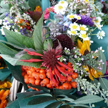 Hacklbauer * Altenmarkt im Pongau