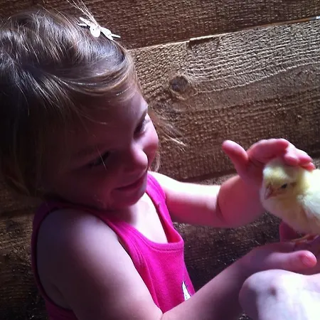 Lejlighed Hacklbauer