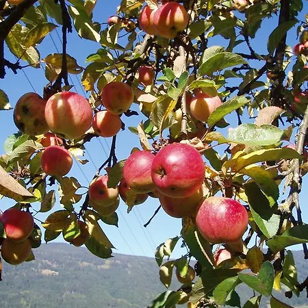 Lejlighed Hacklbauer